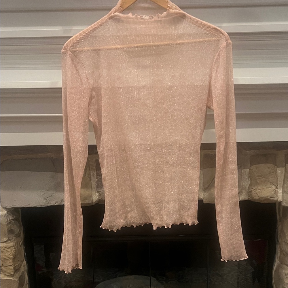 Aleya Elegant Sheer Pink Top (Anthro)